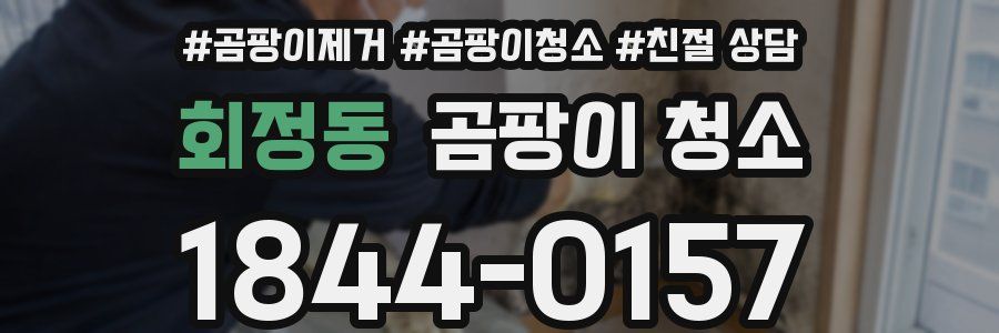 회정동 곰팡이 청소