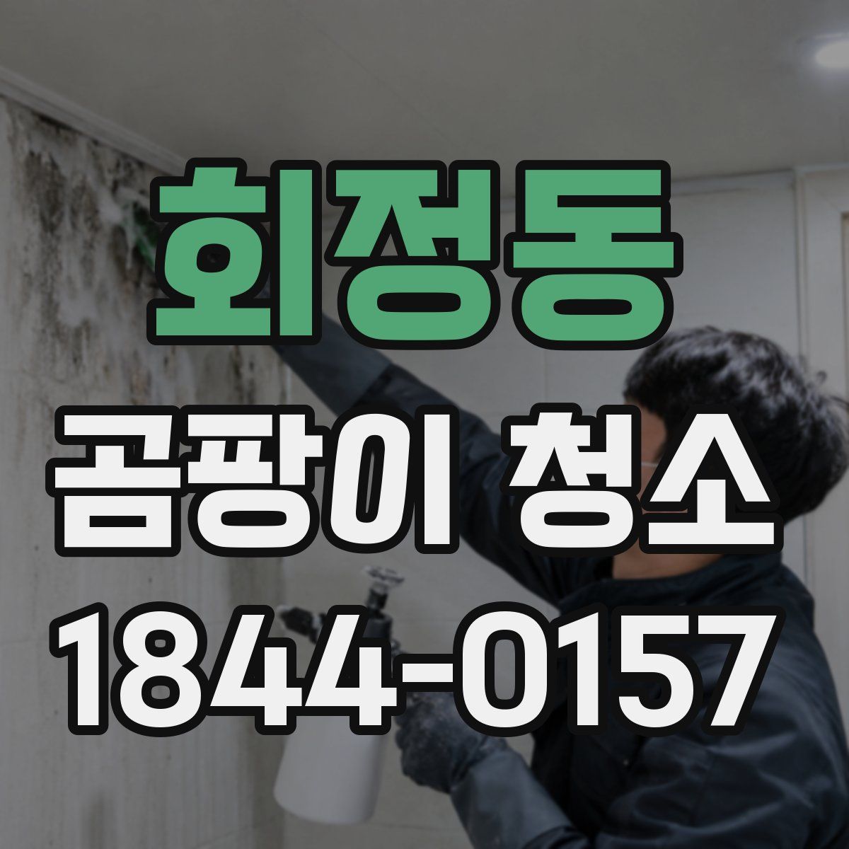 회정동 곰팡이 청소