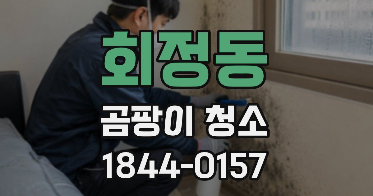 회정동 곰팡이 청소