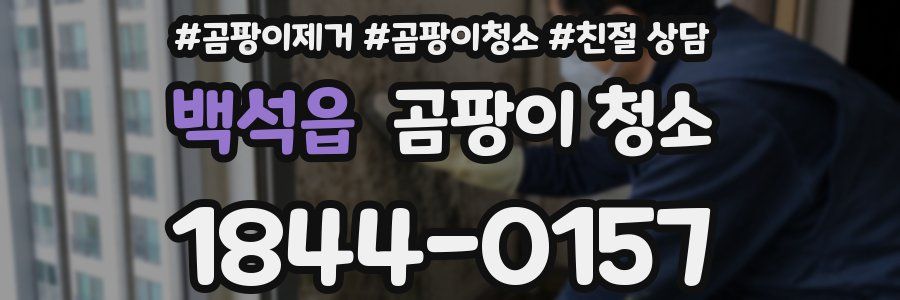 백석읍 곰팡이 청소