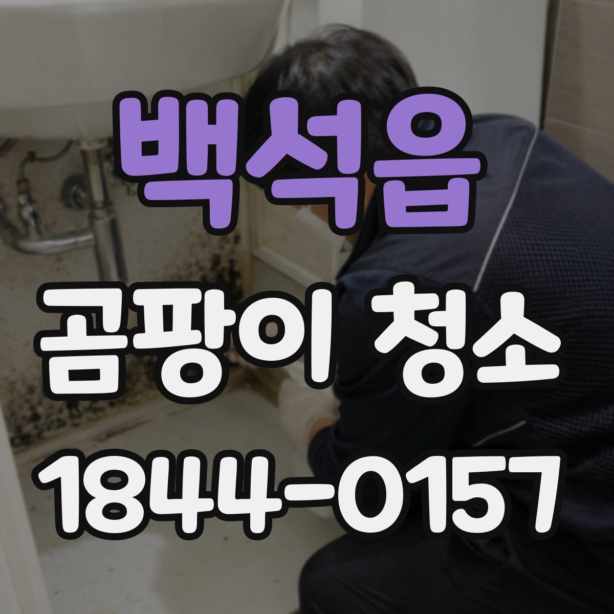 백석읍 곰팡이 청소