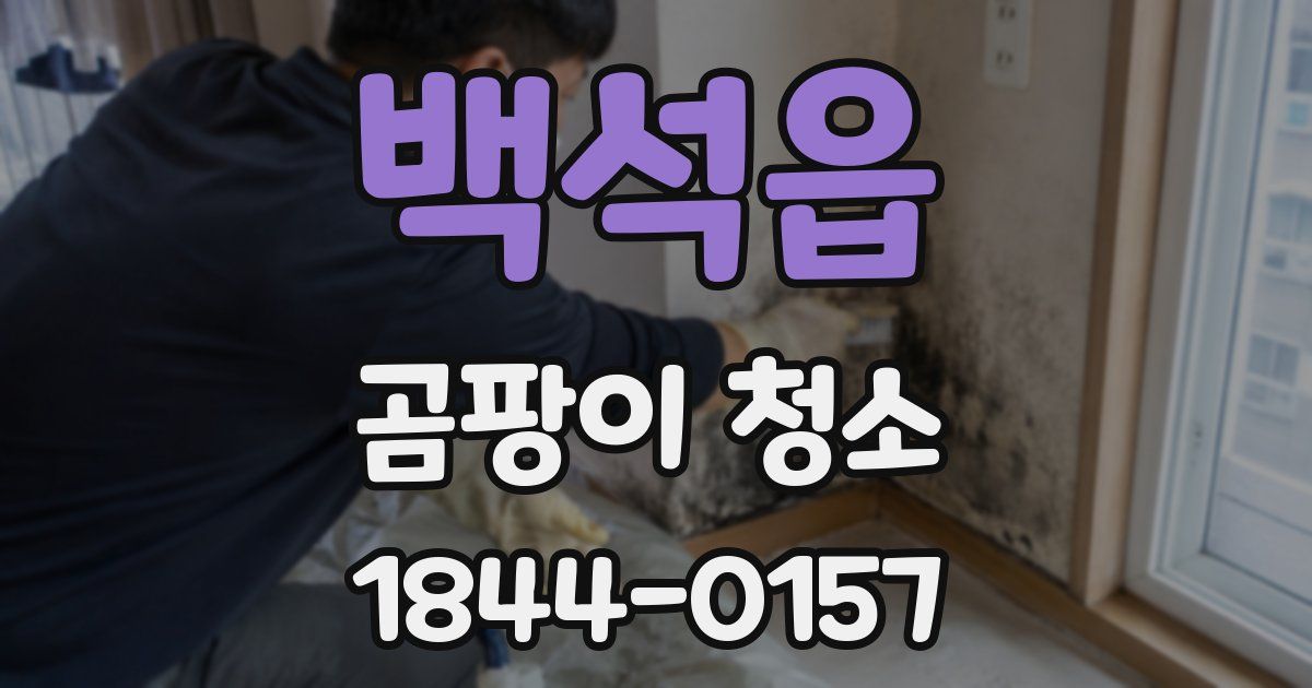 백석읍 곰팡이 청소