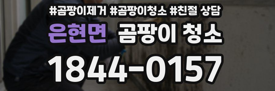 은현면 곰팡이 청소