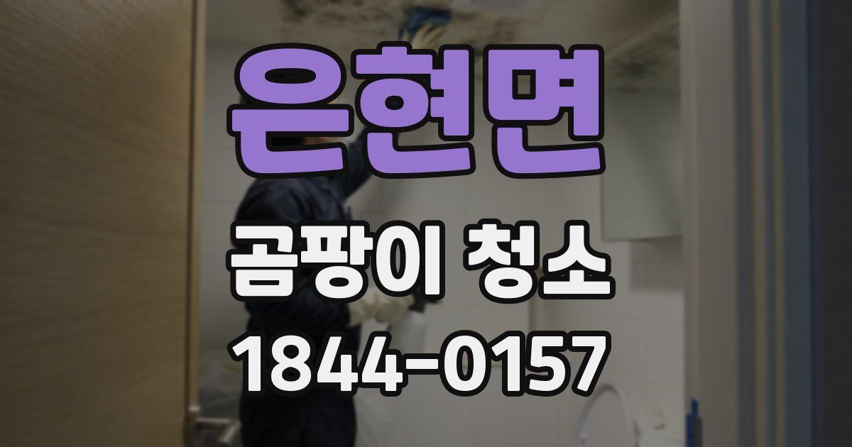 은현면 곰팡이 청소