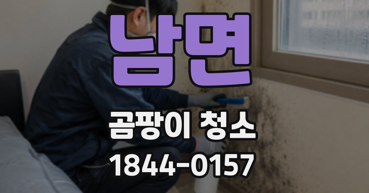 남면 곰팡이 청소