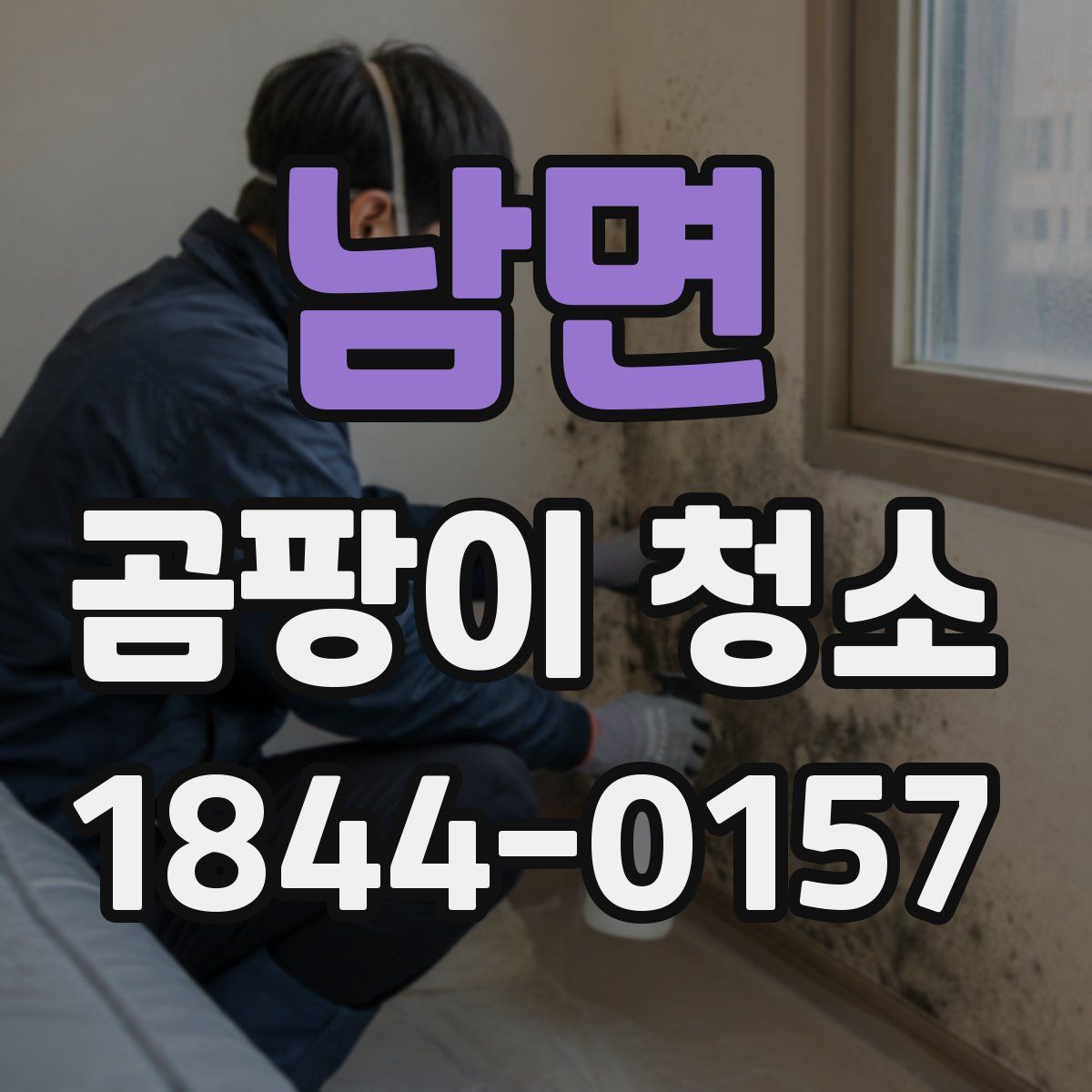 남면 곰팡이 청소