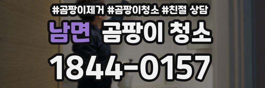 남면 곰팡이 청소