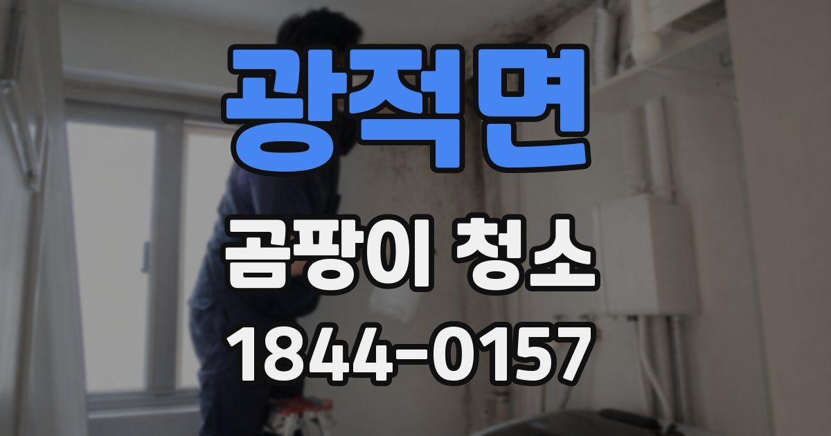 광적면 곰팡이 청소