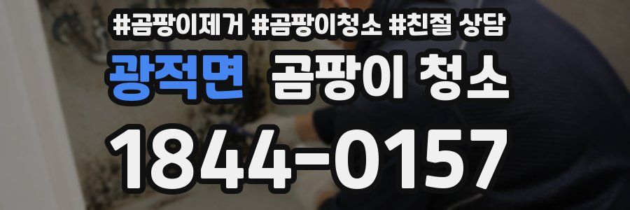 광적면 곰팡이 청소