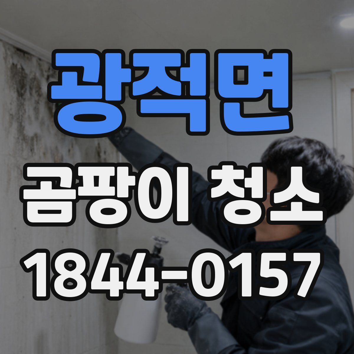 광적면 곰팡이 청소