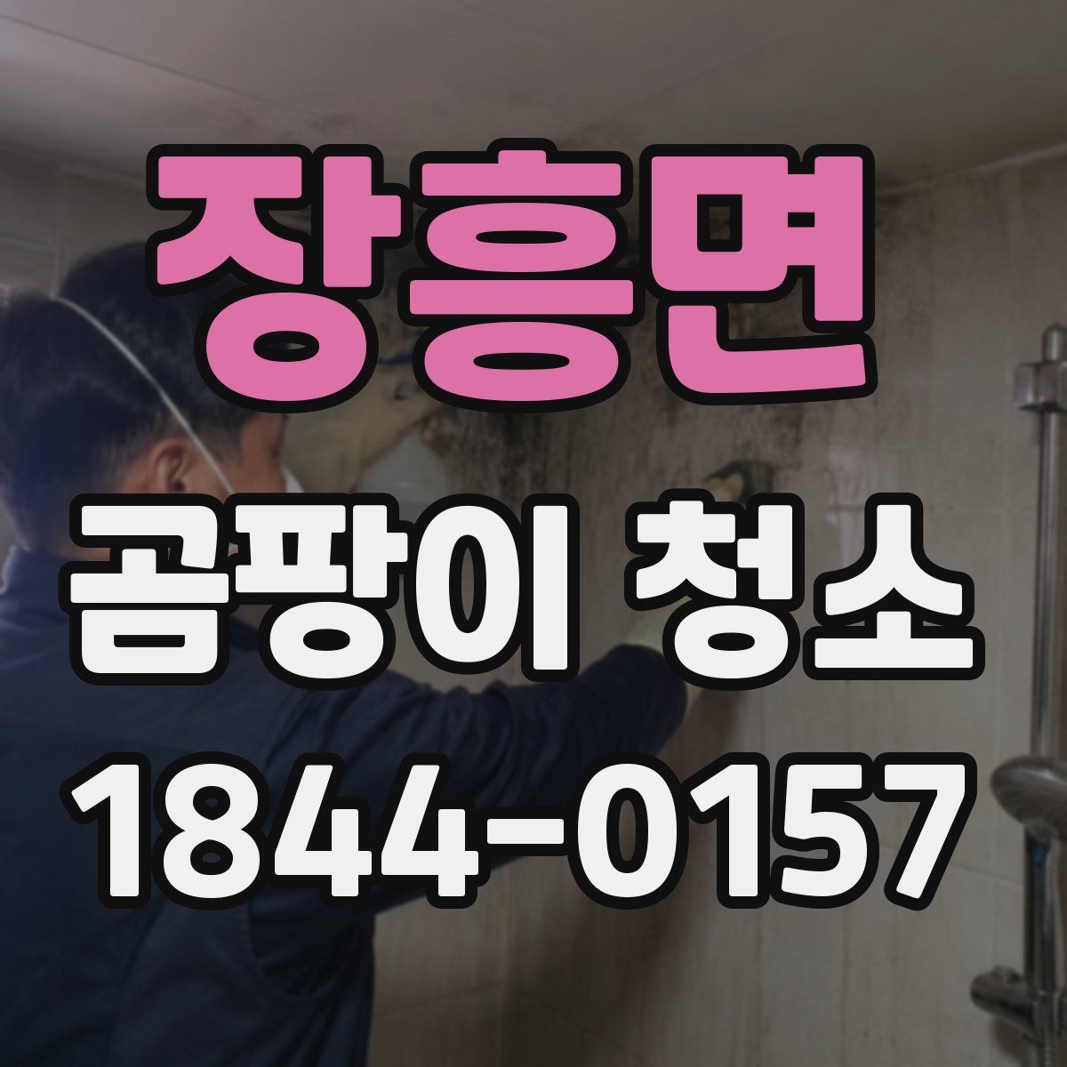 장흥면 곰팡이 청소