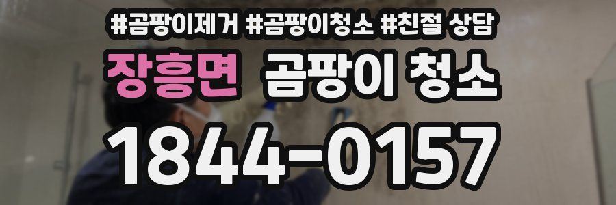 장흥면 곰팡이 청소