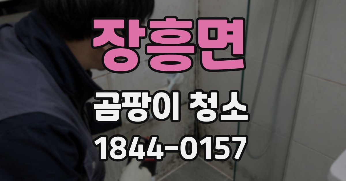 장흥면 곰팡이 청소