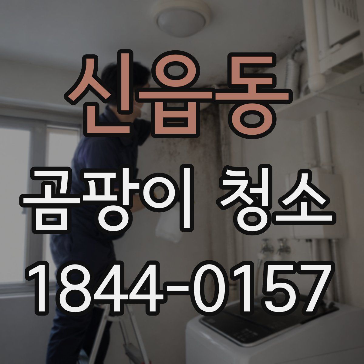 신읍동 곰팡이 청소