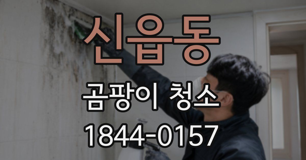 신읍동 곰팡이 청소
