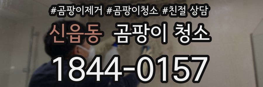 신읍동 곰팡이 청소