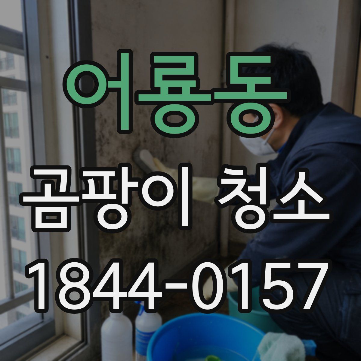 어룡동 곰팡이 청소