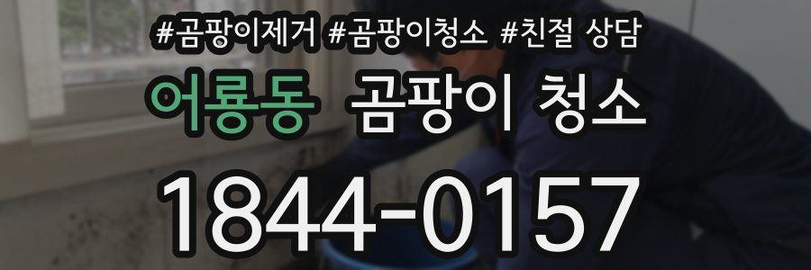 어룡동 곰팡이 청소
