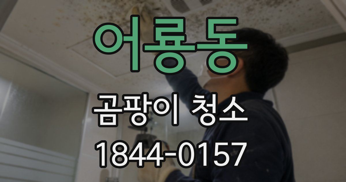 어룡동 곰팡이 청소
