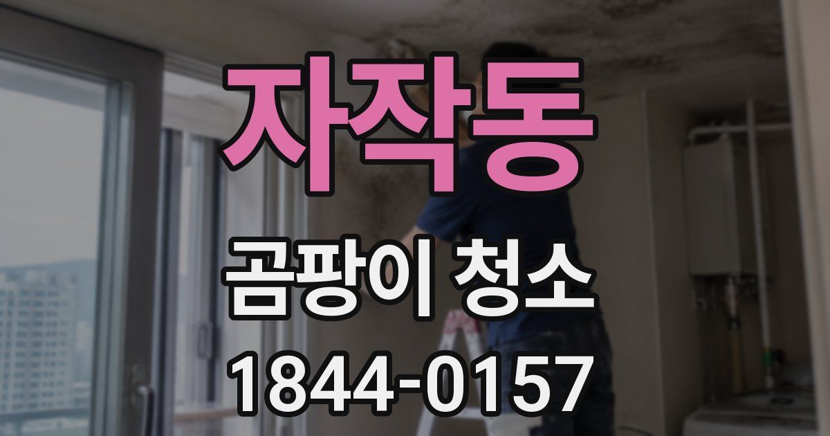 자작동 곰팡이 청소