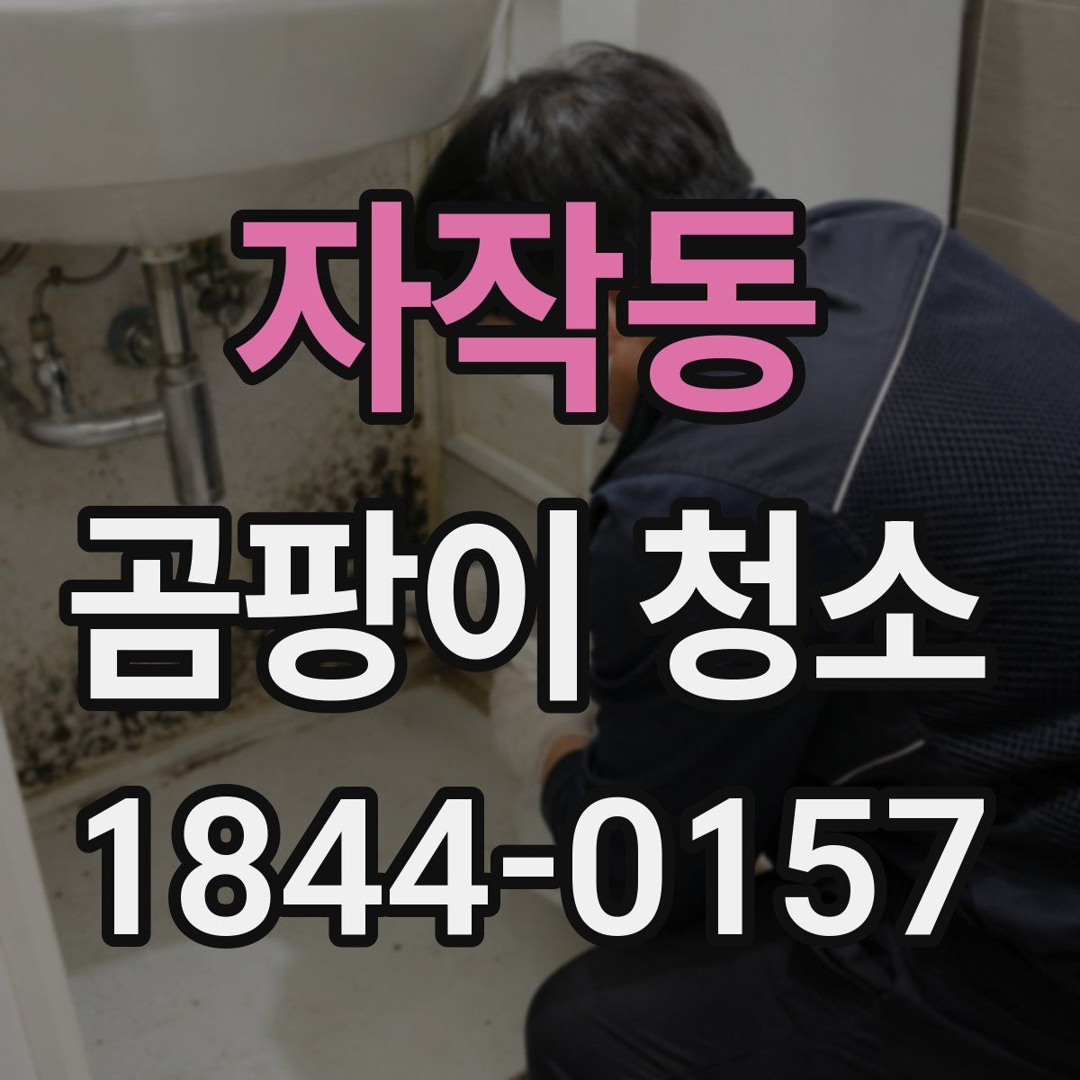 자작동 곰팡이 청소