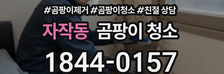 자작동 곰팡이 청소