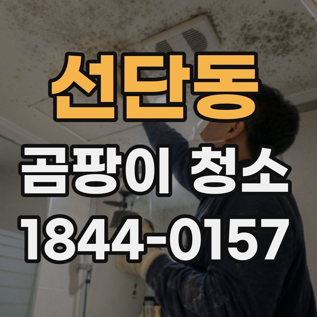 선단동 곰팡이 청소 후 남은 얼룩 처리 방법