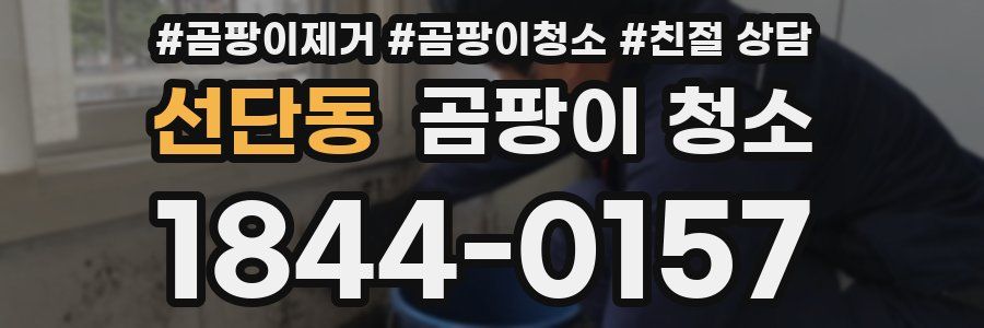 선단동 곰팡이 청소