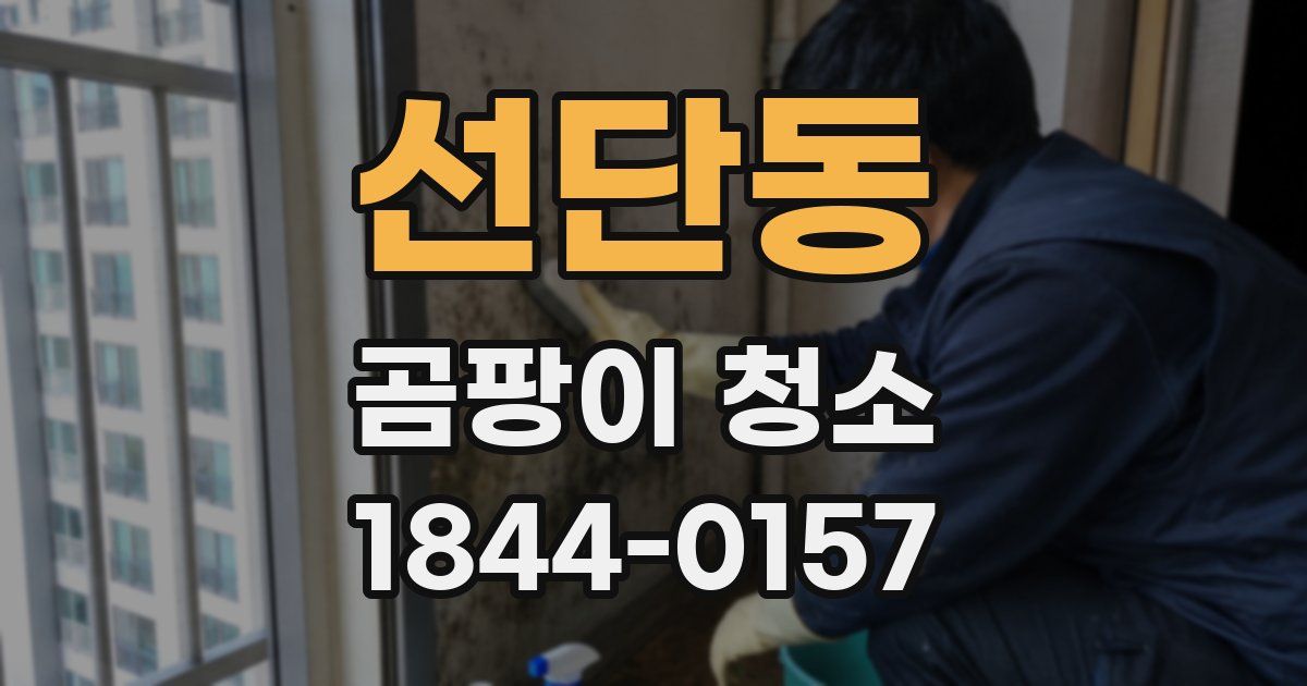 선단동 곰팡이 청소