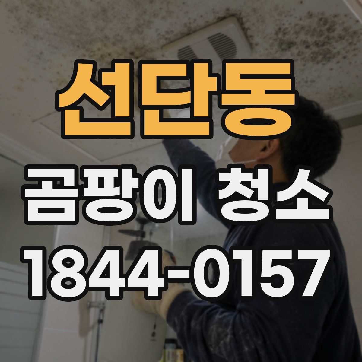 선단동 곰팡이 청소