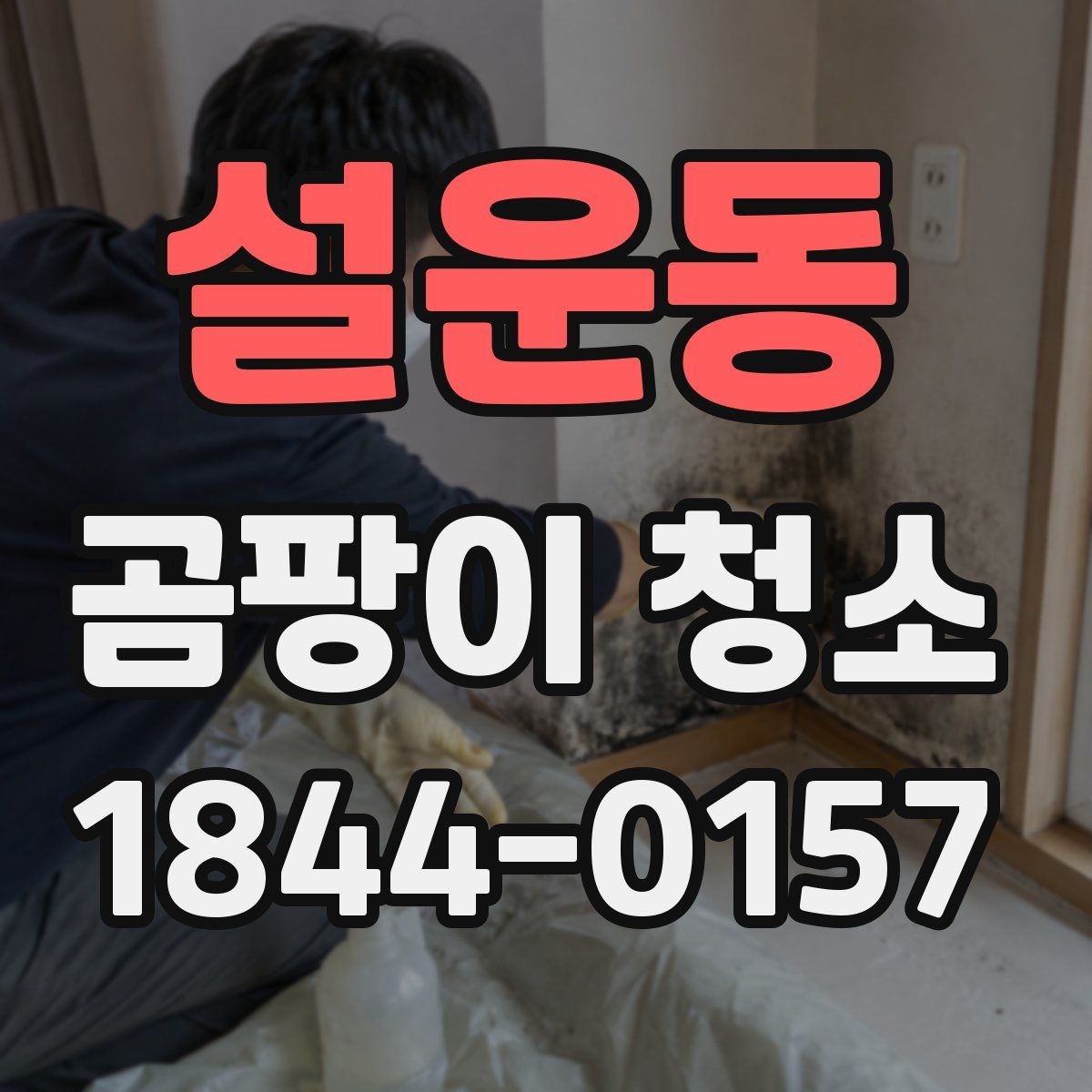 설운동 곰팡이 청소