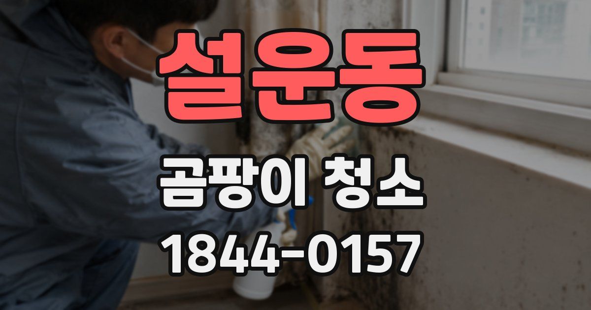 설운동 곰팡이 청소