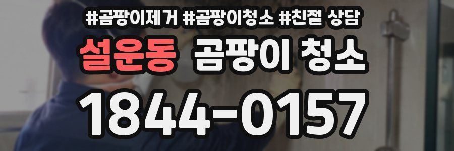 설운동 곰팡이 청소