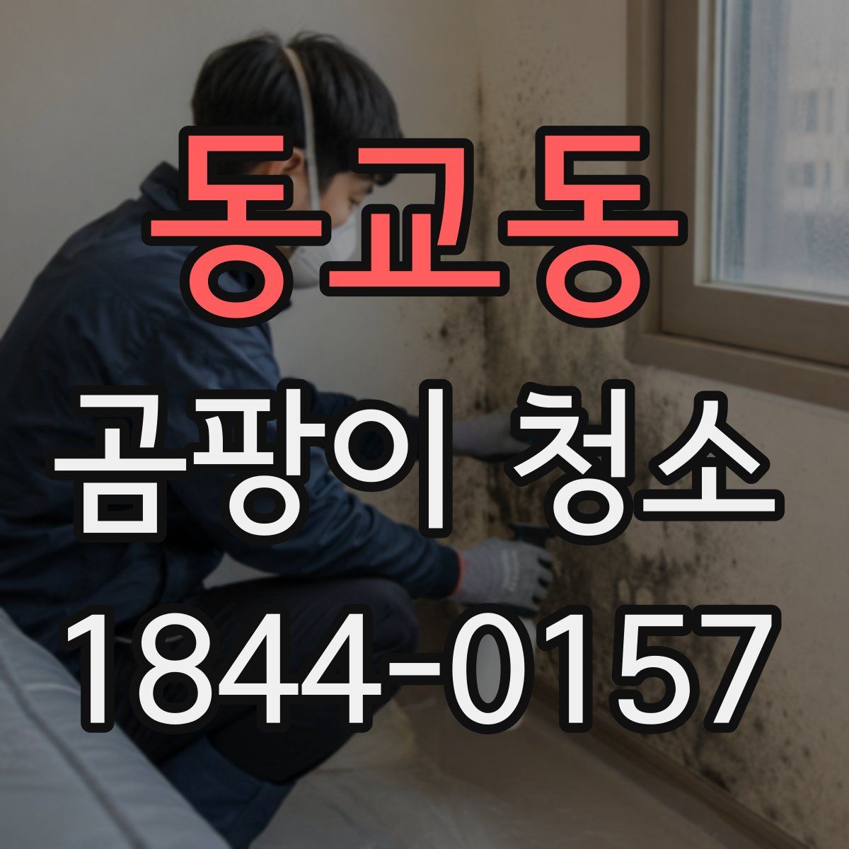 동교동 곰팡이 청소