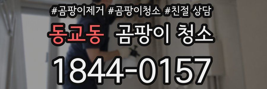 동교동 곰팡이 청소