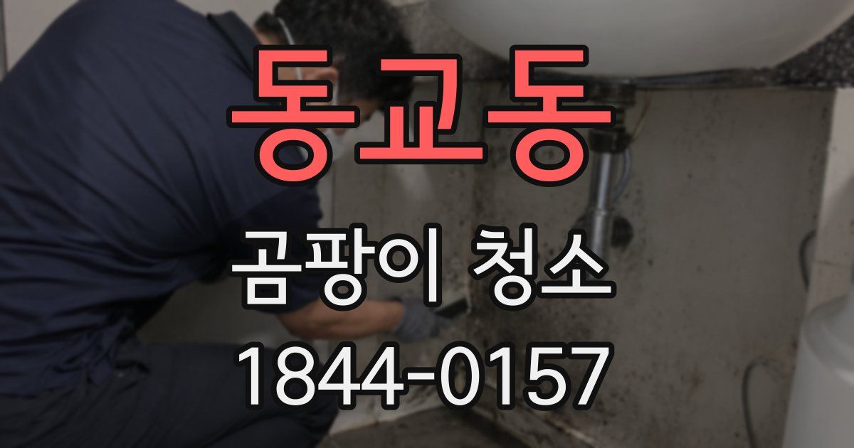 동교동 곰팡이 청소