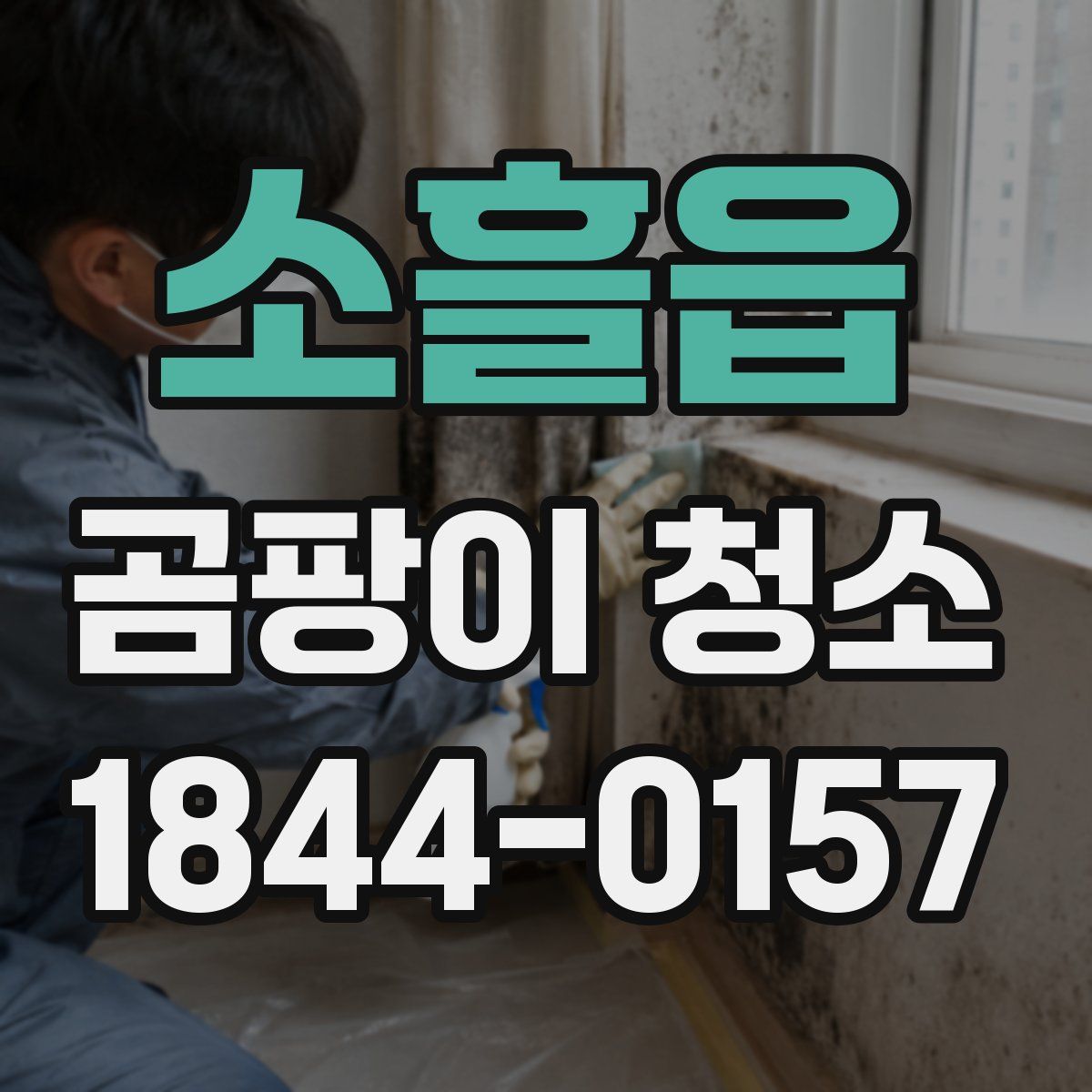 소흘읍 곰팡이 청소