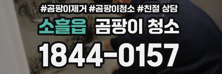 소흘읍 곰팡이 청소