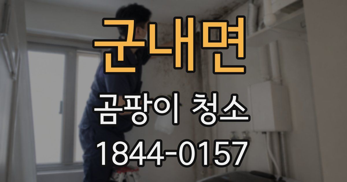 군내면 곰팡이 청소