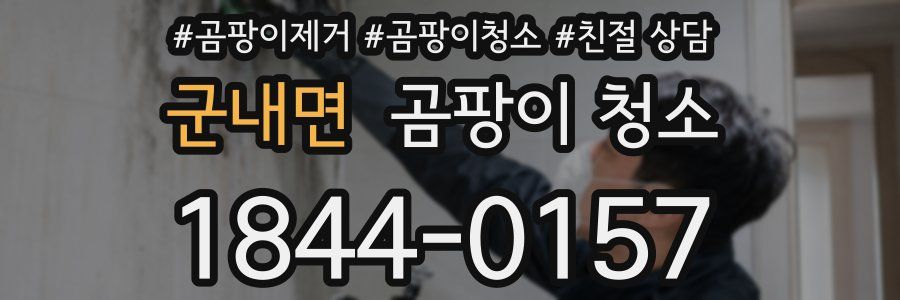 군내면 곰팡이 청소