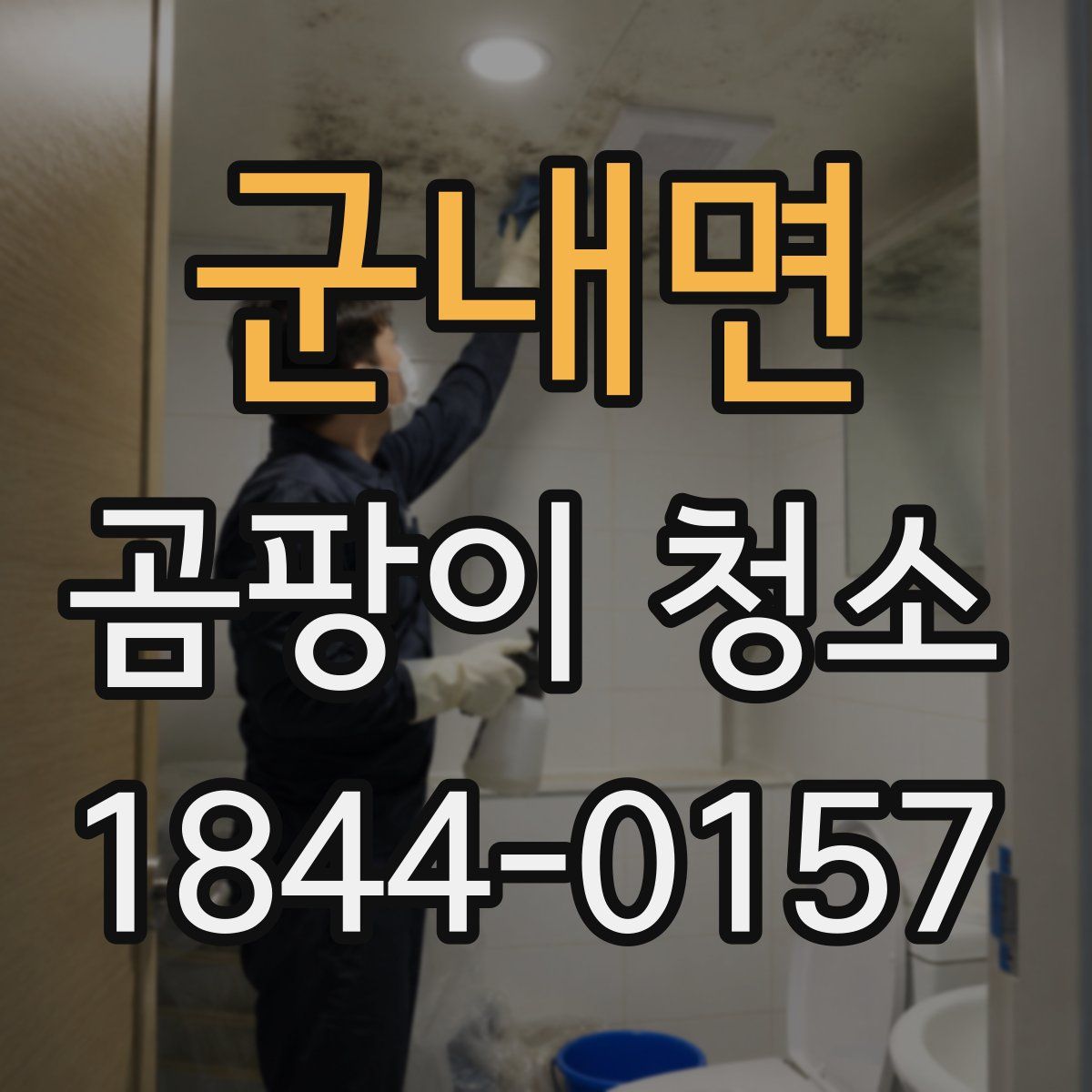 군내면 곰팡이 청소