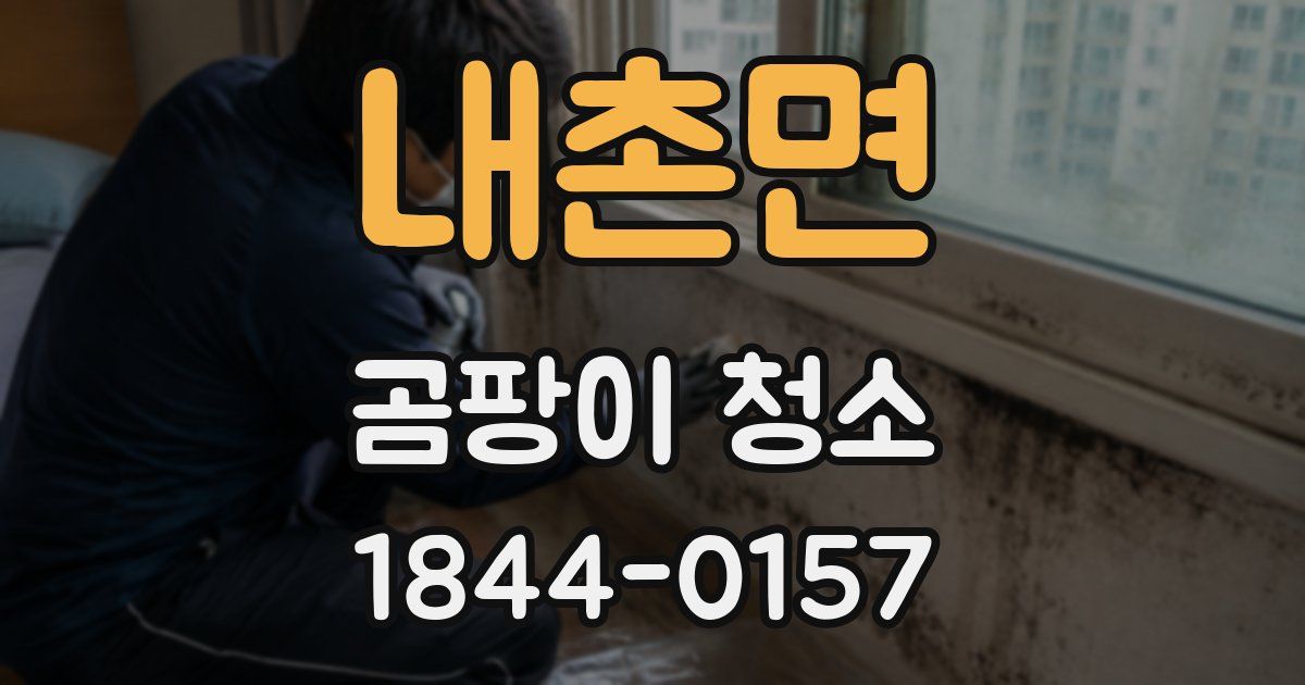 내촌면 곰팡이 청소