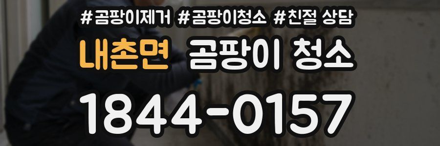 내촌면 곰팡이 청소