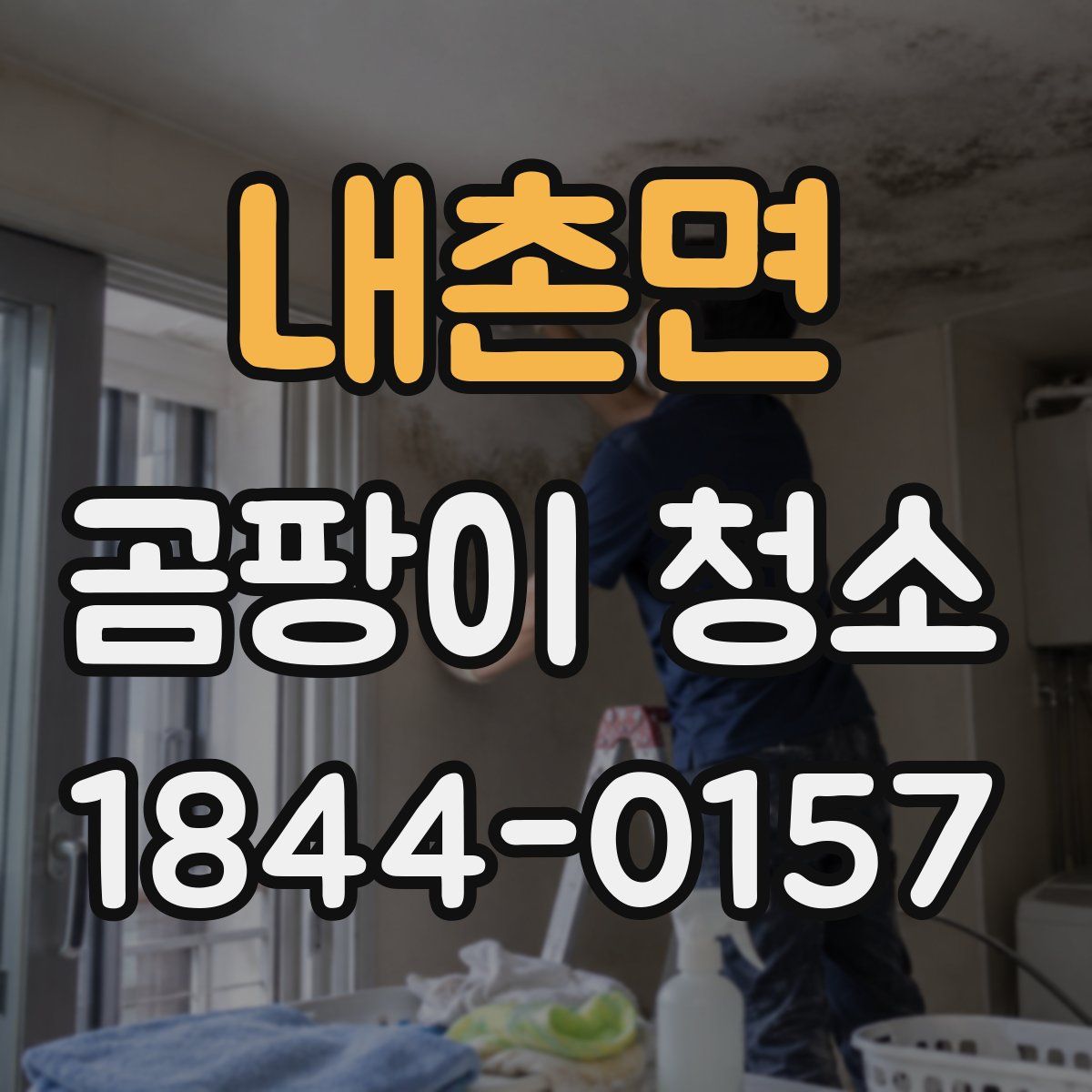 내촌면 곰팡이 청소