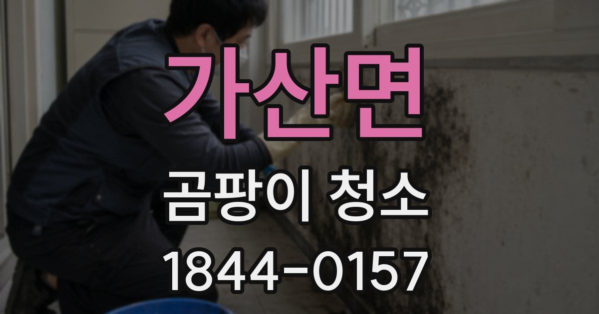 가산면 곰팡이 청소