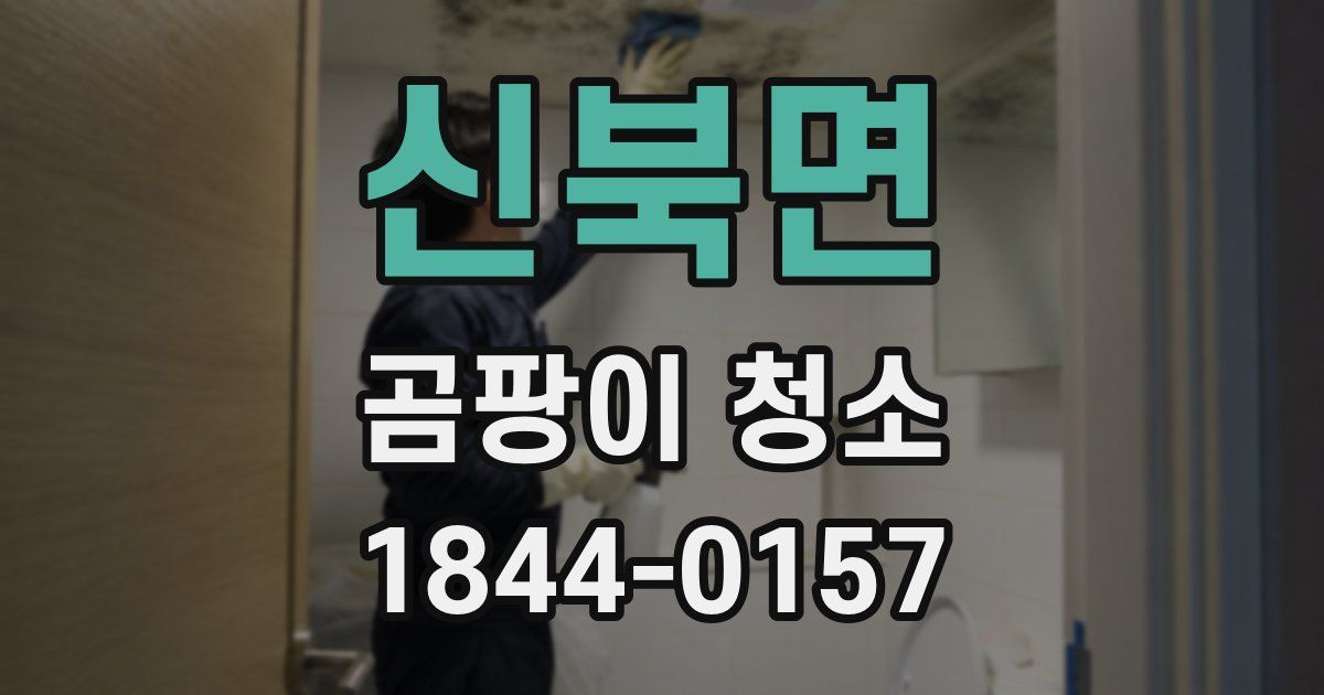 신북면 곰팡이 청소