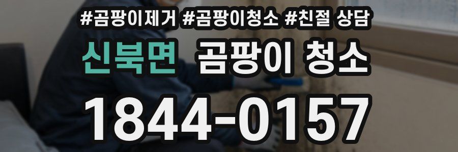 신북면 곰팡이 청소