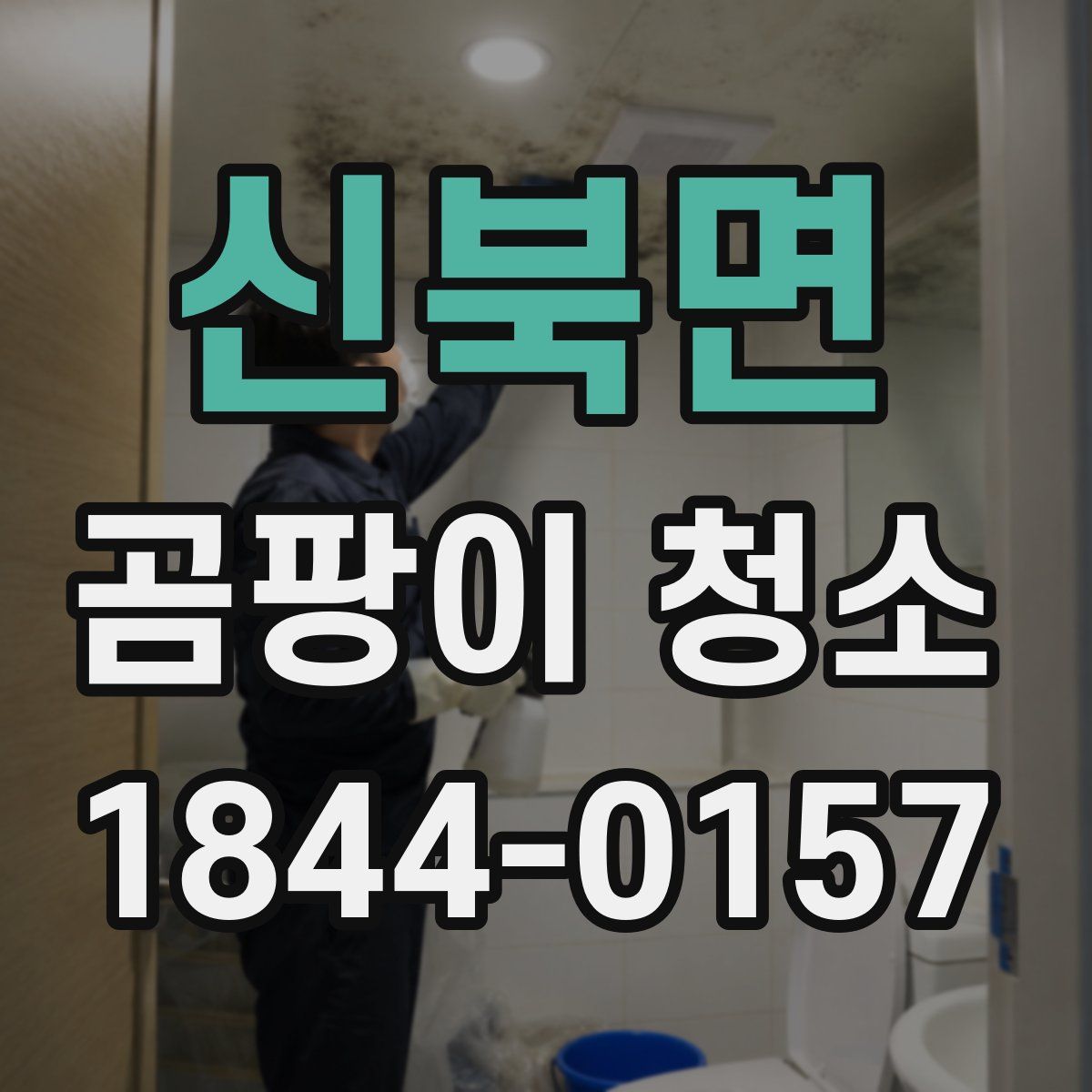 신북면 곰팡이 청소
