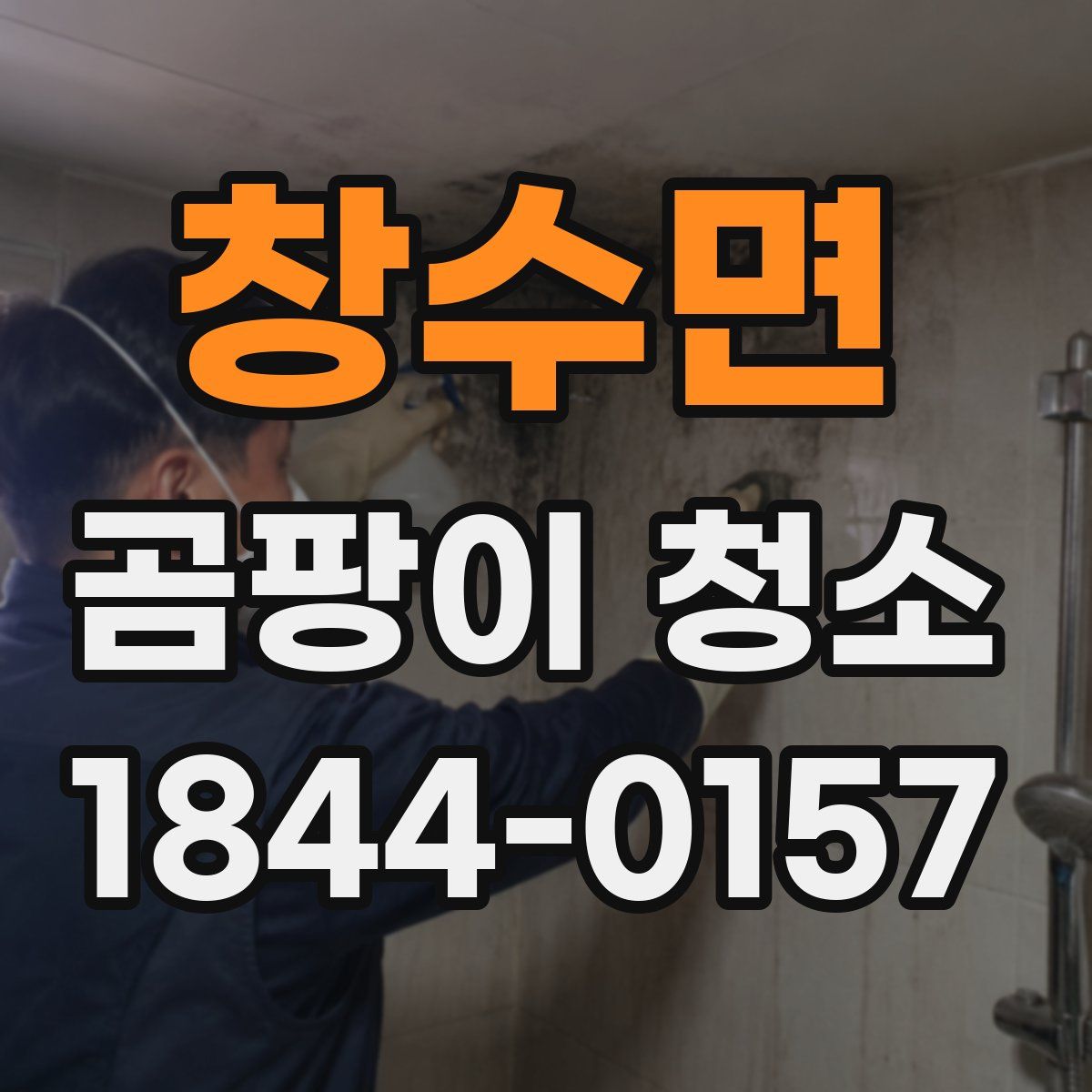 창수면 곰팡이 청소
