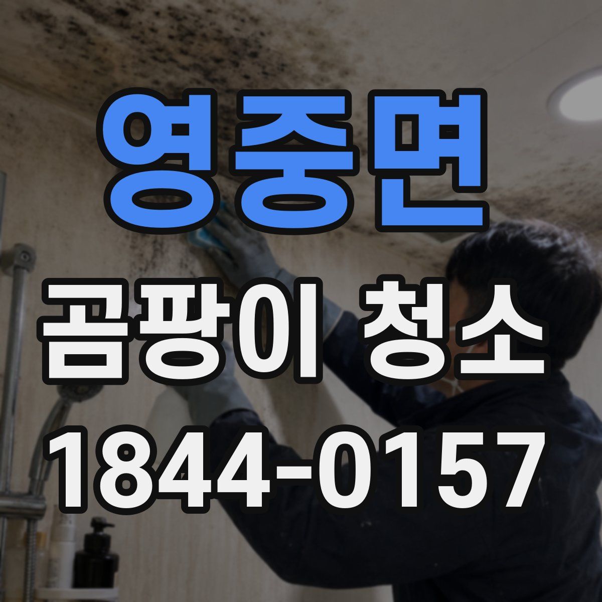 영중면 곰팡이 청소